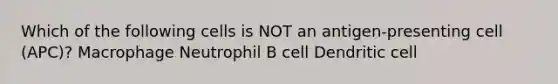 Which of the following cells is NOT an antigen-presenting cell (APC)? Macrophage Neutrophil B cell Dendritic cell