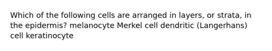 Which of the following cells are arranged in layers, or strata, in the epidermis? melanocyte Merkel cell dendritic (Langerhans) cell keratinocyte