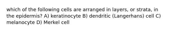 which of the following cells are arranged in layers, or strata, in the epidermis? A) keratinocyte B) dendritic (Langerhans) cell C) melanocyte D) Merkel cell