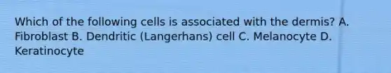 Which of the following cells is associated with the dermis? A. Fibroblast B. Dendritic (Langerhans) cell C. Melanocyte D. Keratinocyte