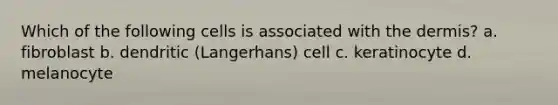 Which of the following cells is associated with the dermis? a. fibroblast b. dendritic (Langerhans) cell c. keratinocyte d. melanocyte