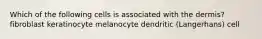 Which of the following cells is associated with the dermis? fibroblast keratinocyte melanocyte dendritic (Langerhans) cell