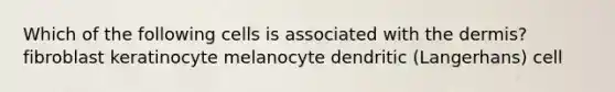 Which of the following cells is associated with <a href='https://www.questionai.com/knowledge/kEsXbG6AwS-the-dermis' class='anchor-knowledge'>the dermis</a>? fibroblast keratinocyte melanocyte dendritic (Langerhans) cell