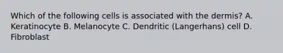 Which of the following cells is associated with the dermis? A. Keratinocyte B. Melanocyte C. Dendritic (Langerhans) cell D. Fibroblast