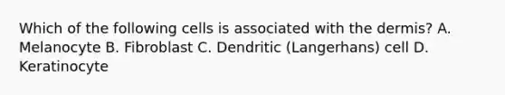 Which of the following cells is associated with the dermis? A. Melanocyte B. Fibroblast C. Dendritic (Langerhans) cell D. Keratinocyte