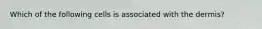 Which of the following cells is associated with the dermis?