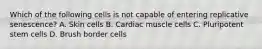 Which of the following cells is not capable of entering replicative senescence? A. Skin cells B. Cardiac muscle cells C. Pluripotent stem cells D. Brush border cells