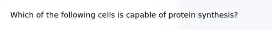 Which of the following cells is capable of protein synthesis?