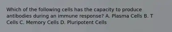Which of the following cells has the capacity to produce antibodies during an immune response? A. Plasma Cells B. T Cells C. Memory Cells D. Pluripotent Cells
