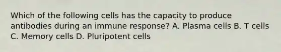 Which of the following cells has the capacity to produce antibodies during an immune response? A. Plasma cells B. T cells C. Memory cells D. Pluripotent cells