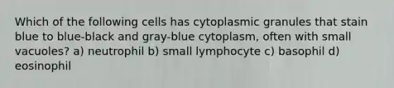 Which of the following cells has cytoplasmic granules that stain blue to blue-black and gray-blue cytoplasm, often with small vacuoles? a) neutrophil b) small lymphocyte c) basophil d) eosinophil