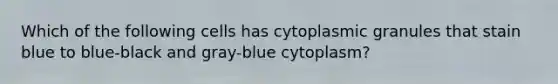 Which of the following cells has cytoplasmic granules that stain blue to blue-black and gray-blue cytoplasm?