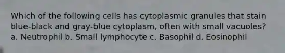 Which of the following cells has cytoplasmic granules that stain blue-black and gray-blue cytoplasm, often with small vacuoles? a. Neutrophil b. Small lymphocyte c. Basophil d. Eosinophil