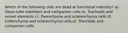 Which of the following cells are dead at functional maturity? a). Sieve-tube members and companion cells b). Tracheids and vessel elements c). Parenchyma and sclerenchyma cells d). Collenchyma and sclerenchyma cells e). Tracheids and companion cells