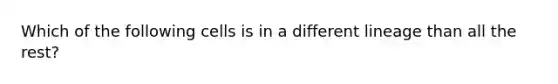 Which of the following cells is in a different lineage than all the rest?