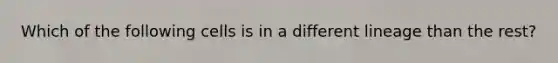 Which of the following cells is in a different lineage than the rest?