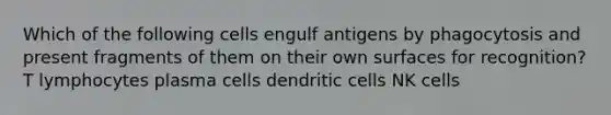 Which of the following cells engulf antigens by phagocytosis and present fragments of them on their own surfaces for recognition? T lymphocytes plasma cells dendritic cells NK cells