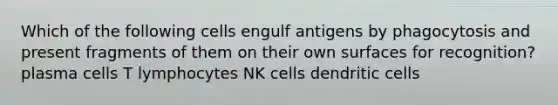 Which of the following cells engulf antigens by phagocytosis and present fragments of them on their own surfaces for recognition? plasma cells T lymphocytes NK cells dendritic cells