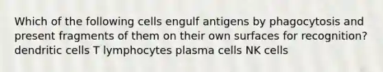 Which of the following cells engulf antigens by phagocytosis and present fragments of them on their own surfaces for recognition? dendritic cells T lymphocytes plasma cells NK cells