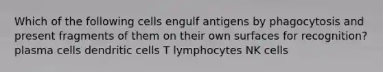 Which of the following cells engulf antigens by phagocytosis and present fragments of them on their own surfaces for recognition? plasma cells dendritic cells T lymphocytes NK cells