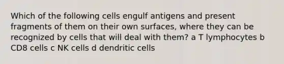 Which of the following cells engulf antigens and present fragments of them on their own surfaces, where they can be recognized by cells that will deal with them? a T lymphocytes b CD8 cells c NK cells d dendritic cells