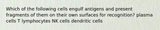 Which of the following cells engulf antigens and present fragments of them on their own surfaces for recognition? plasma cells T lymphocytes NK cells dendritic cells