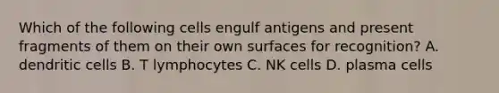 Which of the following cells engulf antigens and present fragments of them on their own surfaces for recognition? A. dendritic cells B. T lymphocytes C. NK cells D. plasma cells