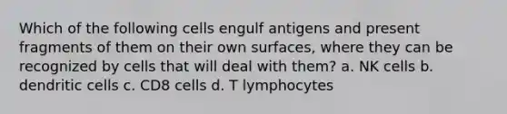 Which of the following cells engulf antigens and present fragments of them on their own surfaces, where they can be recognized by cells that will deal with them? a. NK cells b. dendritic cells c. CD8 cells d. T lymphocytes