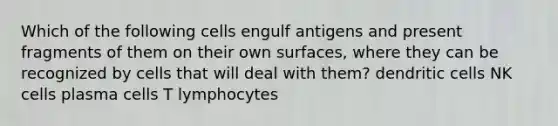 Which of the following cells engulf antigens and present fragments of them on their own surfaces, where they can be recognized by cells that will deal with them? dendritic cells NK cells plasma cells T lymphocytes