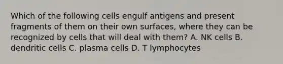 Which of the following cells engulf antigens and present fragments of them on their own surfaces, where they can be recognized by cells that will deal with them? A. NK cells B. dendritic cells C. plasma cells D. T lymphocytes