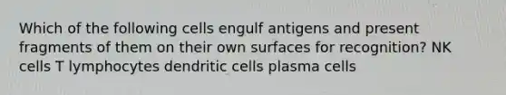 Which of the following cells engulf antigens and present fragments of them on their own surfaces for recognition? NK cells T lymphocytes dendritic cells plasma cells