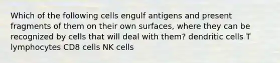 Which of the following cells engulf antigens and present fragments of them on their own surfaces, where they can be recognized by cells that will deal with them? dendritic cells T lymphocytes CD8 cells NK cells