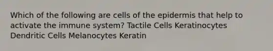 Which of the following are cells of the epidermis that help to activate the immune system? Tactile Cells Keratinocytes Dendritic Cells Melanocytes Keratin