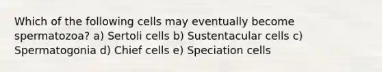 Which of the following cells may eventually become spermatozoa? a) Sertoli cells b) Sustentacular cells c) Spermatogonia d) Chief cells e) Speciation cells