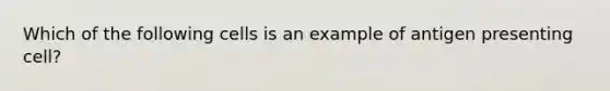 Which of the following cells is an example of antigen presenting cell?