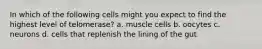 In which of the following cells might you expect to find the highest level of telomerase? a. muscle cells b. oocytes c. neurons d. cells that replenish the lining of the gut