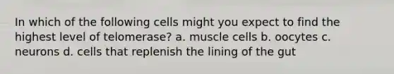 In which of the following cells might you expect to find the highest level of telomerase? a. muscle cells b. oocytes c. neurons d. cells that replenish the lining of the gut