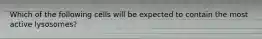 Which of the following cells will be expected to contain the most active lysosomes?