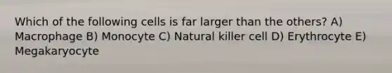 Which of the following cells is far larger than the others? A) Macrophage B) Monocyte C) Natural killer cell D) Erythrocyte E) Megakaryocyte