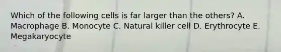 Which of the following cells is far larger than the others? A. Macrophage B. Monocyte C. Natural killer cell D. Erythrocyte E. Megakaryocyte