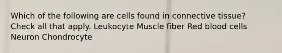 Which of the following are cells found in connective tissue? Check all that apply. Leukocyte Muscle fiber Red blood cells Neuron Chondrocyte