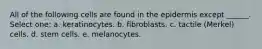 All of the following cells are found in the epidermis except ______. Select one: a. keratinocytes. b. fibroblasts. c. tactile (Merkel) cells. d. stem cells. e. melanocytes.