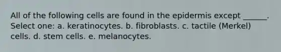 All of the following cells are found in <a href='https://www.questionai.com/knowledge/kBFgQMpq6s-the-epidermis' class='anchor-knowledge'>the epidermis</a> except ______. Select one: a. keratinocytes. b. fibroblasts. c. tactile (Merkel) cells. d. stem cells. e. melanocytes.