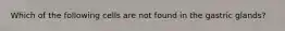 Which of the following cells are not found in the gastric glands?