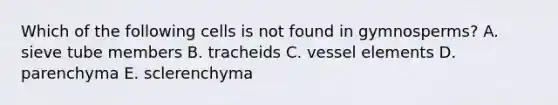 Which of the following cells is not found in gymnosperms? A. sieve tube members B. tracheids C. vessel elements D. parenchyma E. sclerenchyma