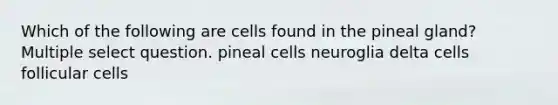 Which of the following are cells found in the pineal gland? Multiple select question. pineal cells neuroglia delta cells follicular cells