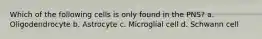 Which of the following cells is only found in the PNS? a. Oligodendrocyte b. Astrocyte c. Microglial cell d. Schwann cell