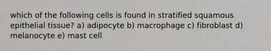 which of the following cells is found in stratified squamous epithelial tissue? a) adipocyte b) macrophage c) fibroblast d) melanocyte e) mast cell