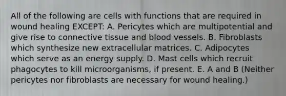 All of the following are cells with functions that are required in wound healing EXCEPT: A. Pericytes which are multipotential and give rise to connective tissue and blood vessels. B. Fibroblasts which synthesize new extracellular matrices. C. Adipocytes which serve as an energy supply. D. Mast cells which recruit phagocytes to kill microorganisms, if present. E. A and B (Neither pericytes nor fibroblasts are necessary for wound healing.)