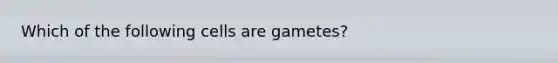 Which of the following cells are gametes?